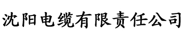 一级黄色电影电缆厂logo